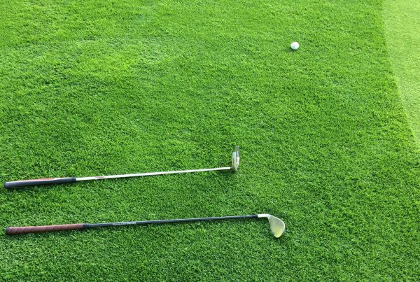 golf clubs on green